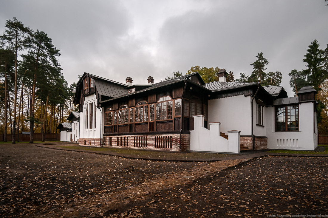 Ногинск, Богородск, усадьба Глухово, Усадебный экспресс, Вадим Разумов