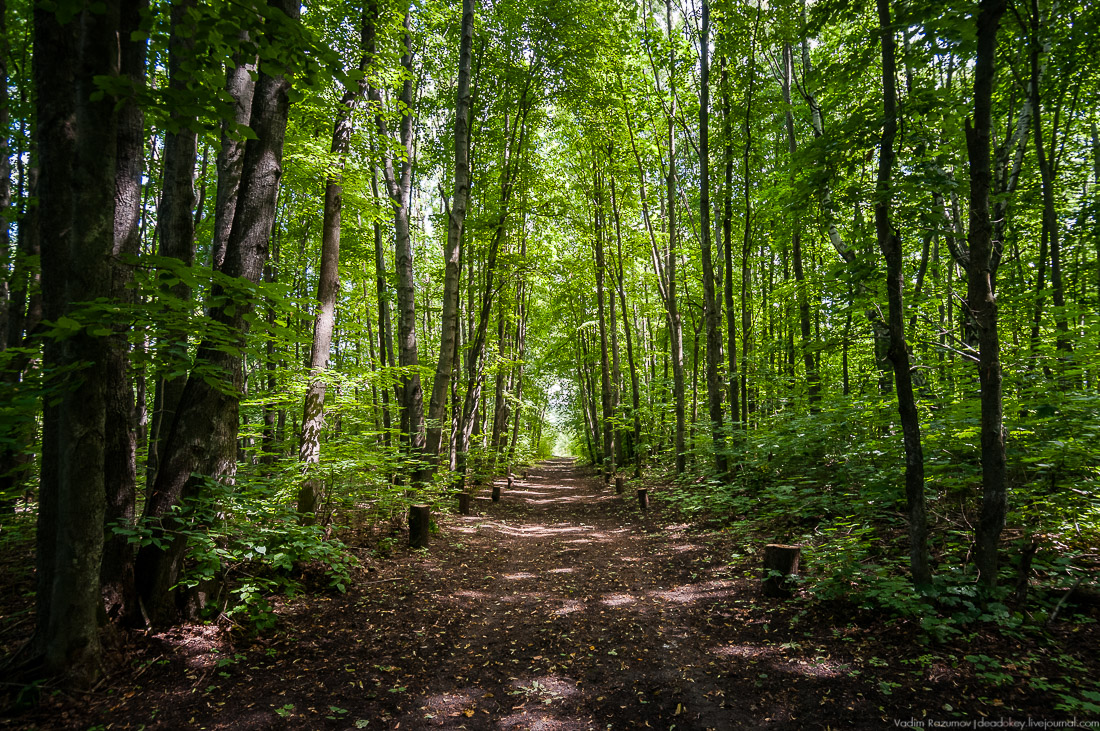 усадьба Кропотово-Лермонтово