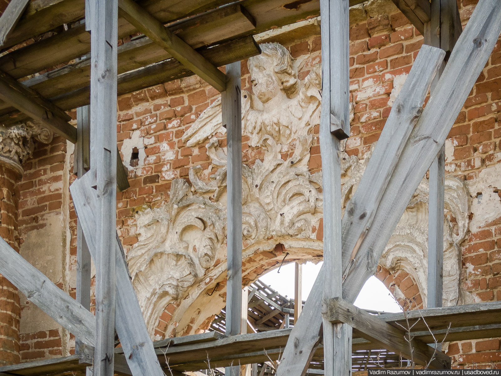 Пролески в усадьбе Репец, Задонский район, Липецкая область