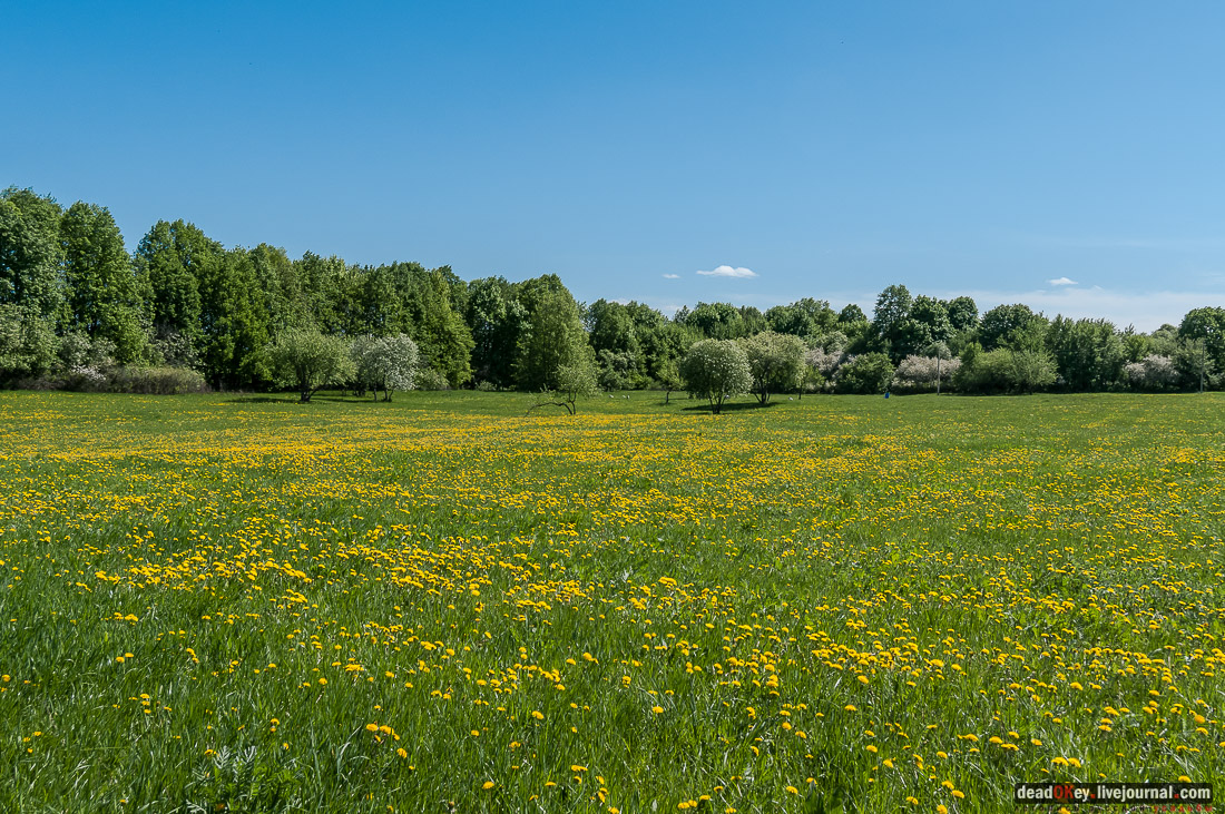 Усадьба Красное