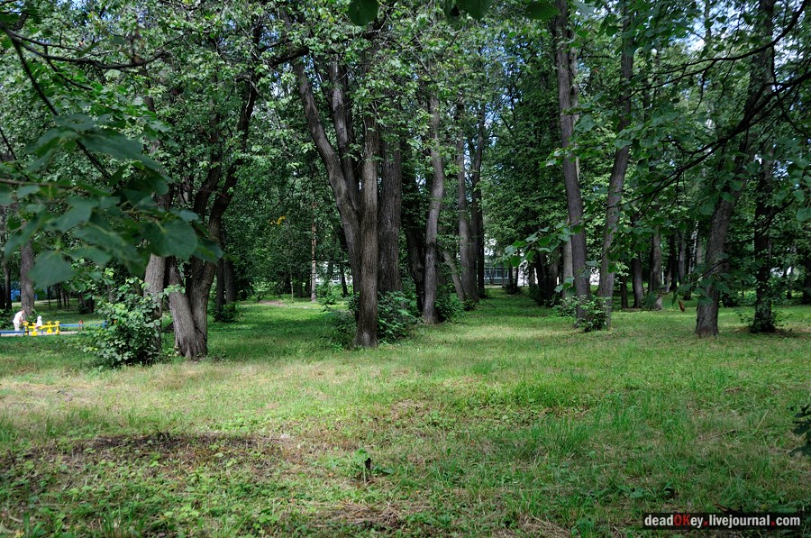 усадьба Троицкое (Мосрентген)