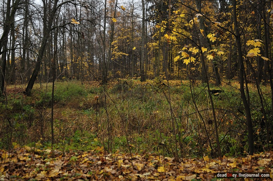 усадьба Жуково