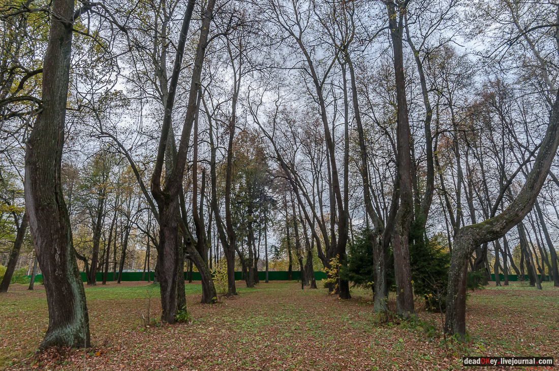Усадьба Покровское-Рубцово