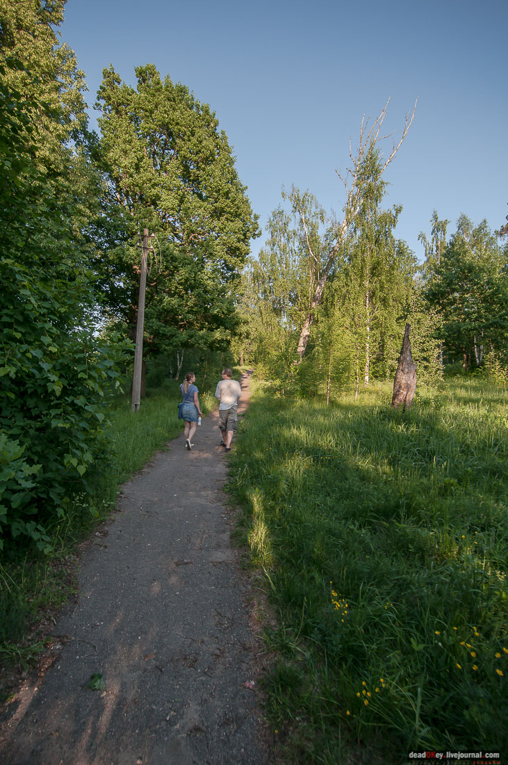 Пейзажный парк в усадьбе Гребнево