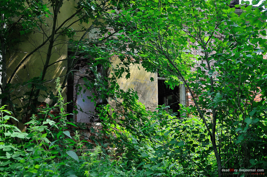 усадьба Матыра