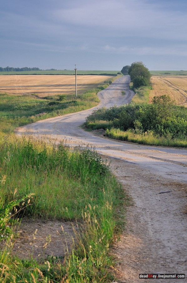 усадьба Клины