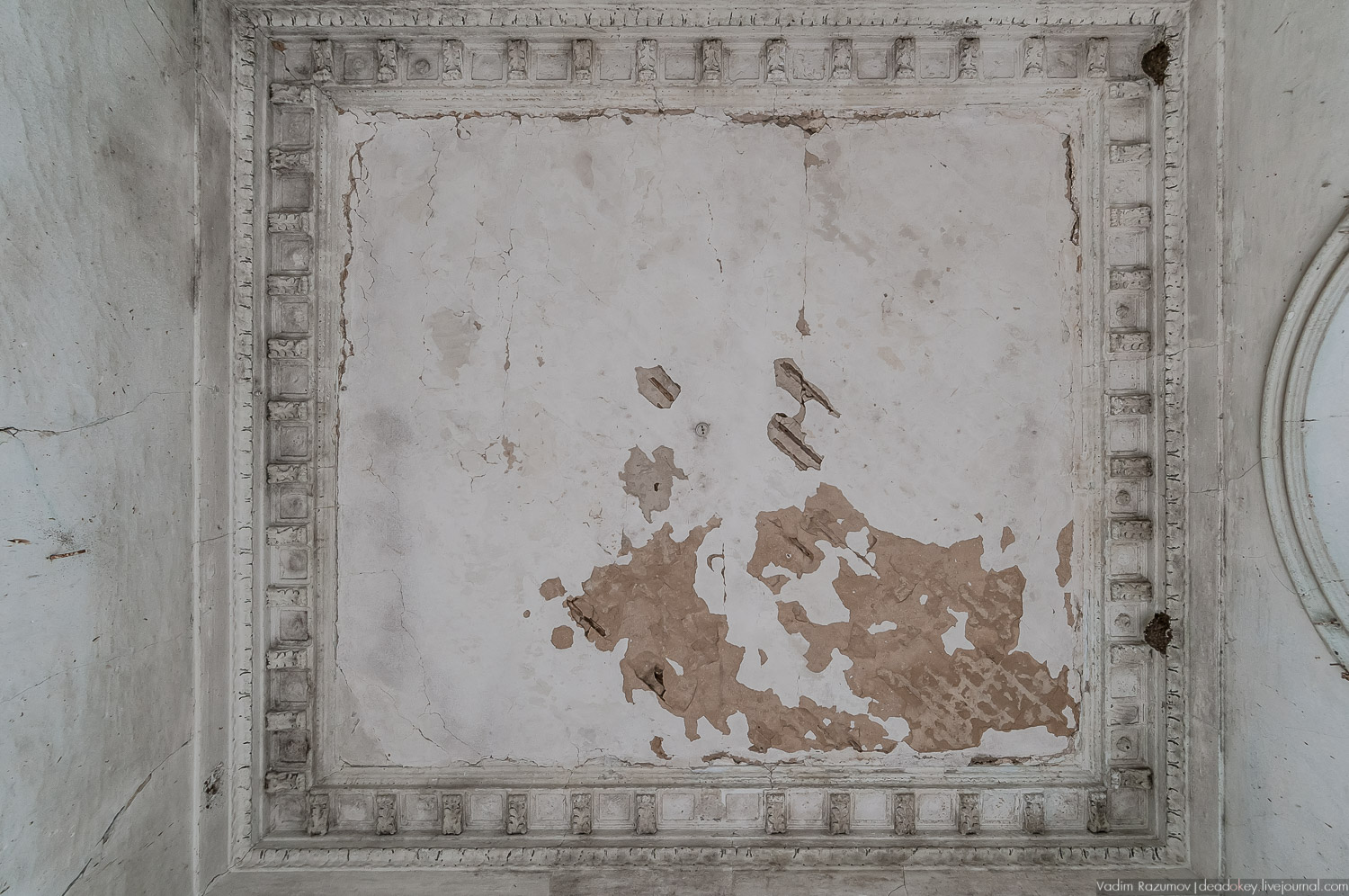 усадьба Полибино, проект Британской школы дизайна