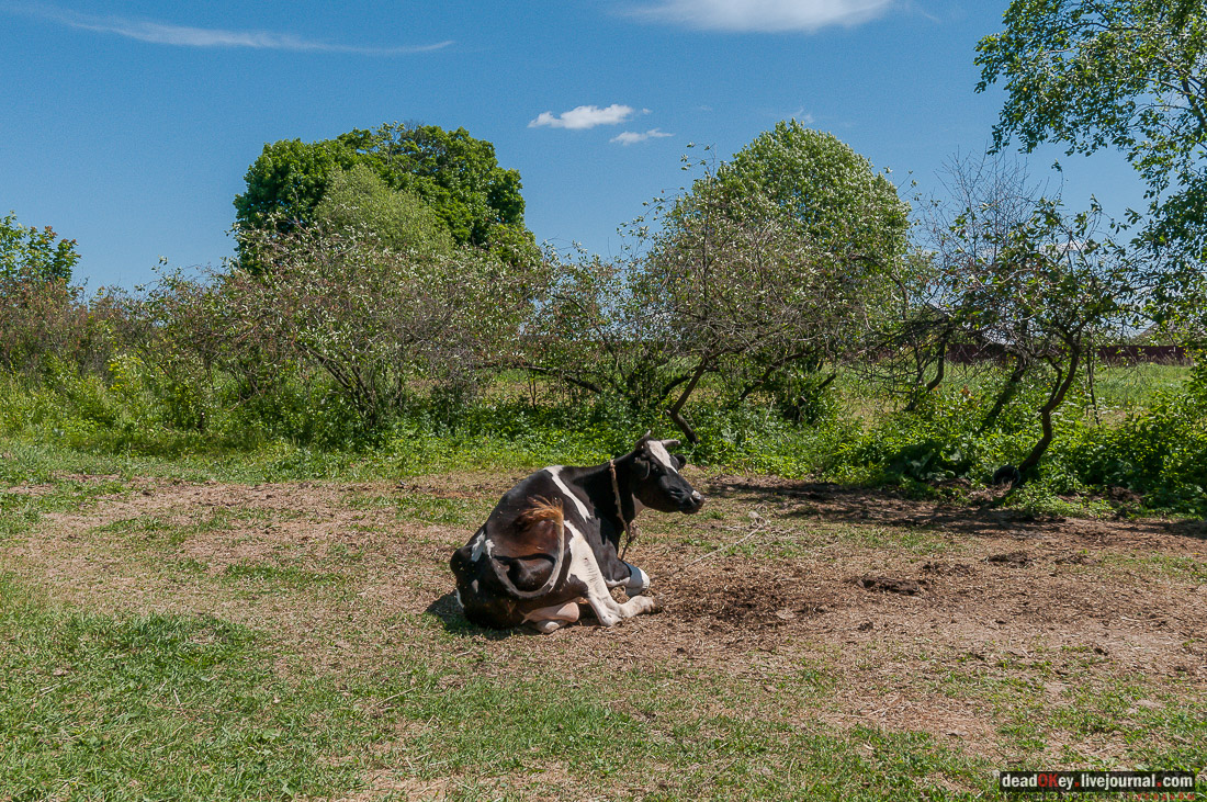 усадьба Мещерино