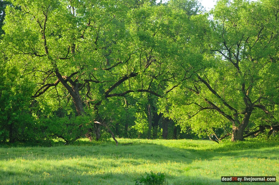 усадьба Прохорово