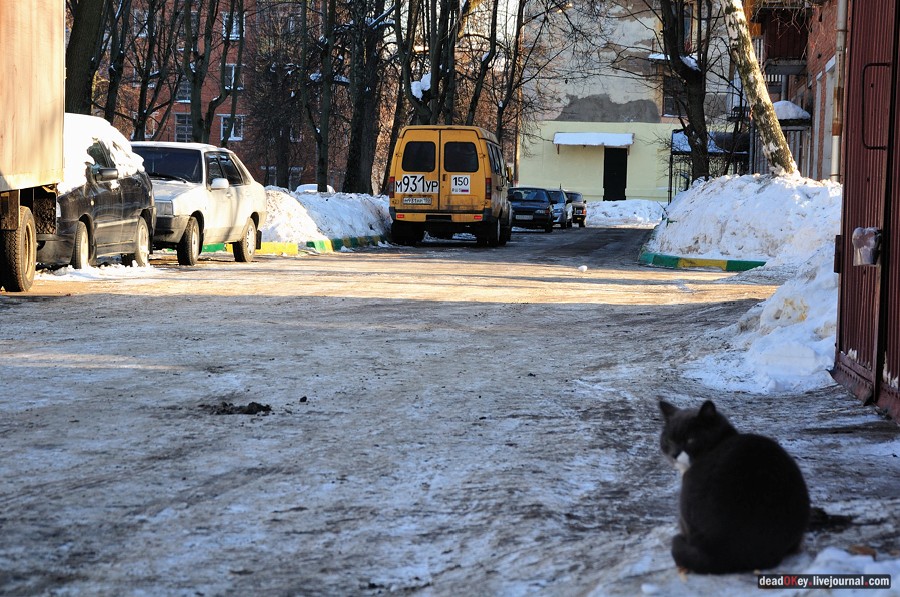 усадьба Петровское-Лобаново