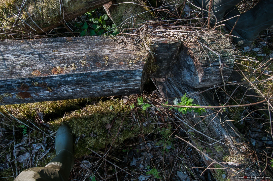 заброшенная деревня Сяпчозеро, Карелия, Кондопожский район