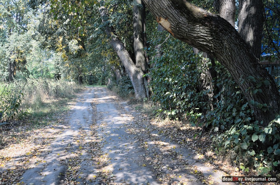 усадьба Опарино