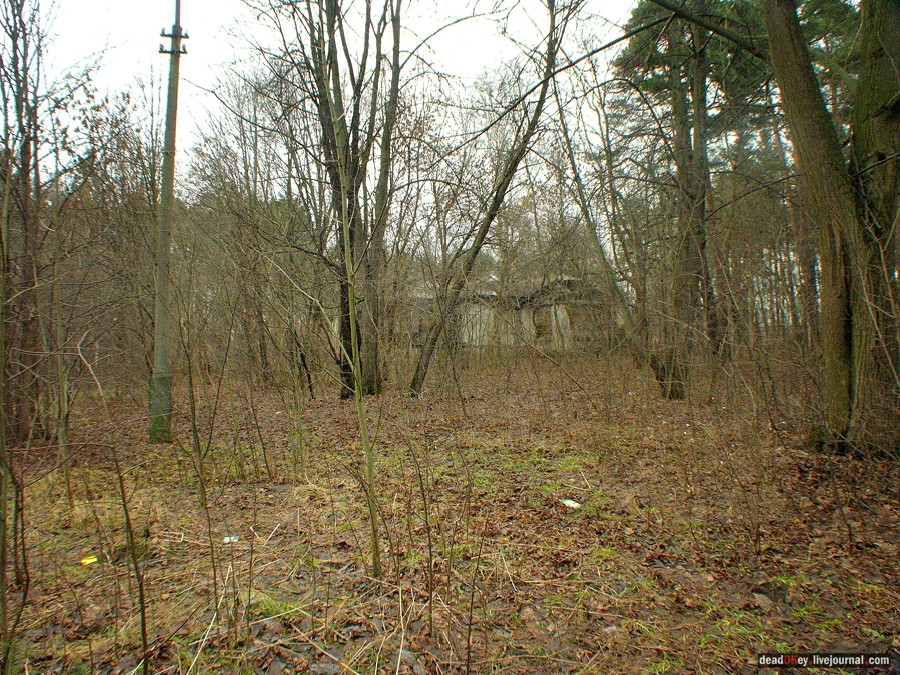 усадьба Глухово