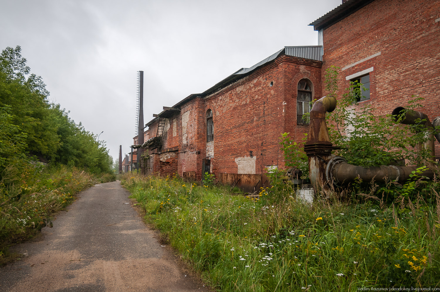 Фарфоровый завод, Вербилки