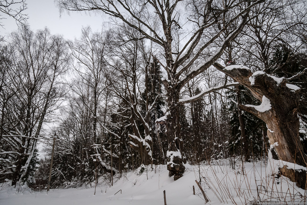 Усадебный экспресс. Гусарская баллада, экскурсия 2018