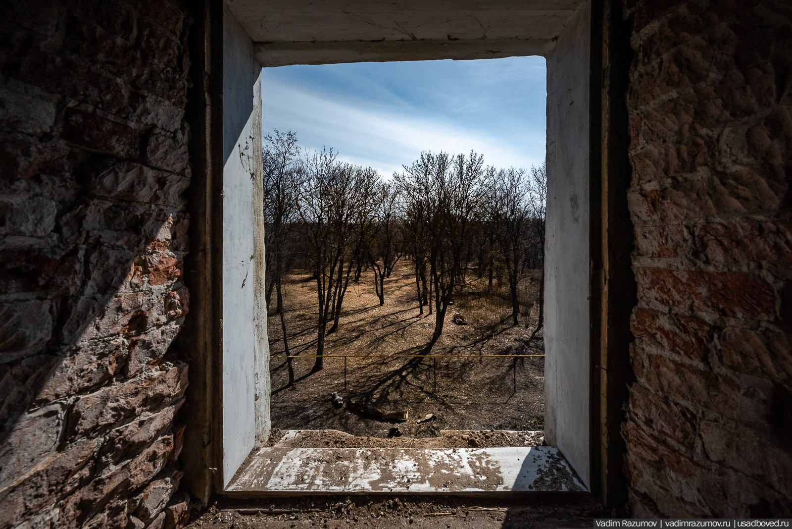 Пролески в усадьбе Репец, Задонский район, Липецкая область