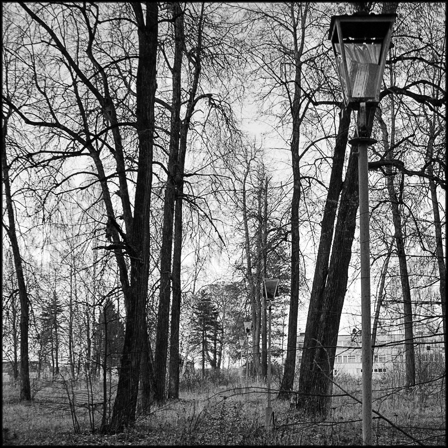 Парковые аллеи в русских усадьбах