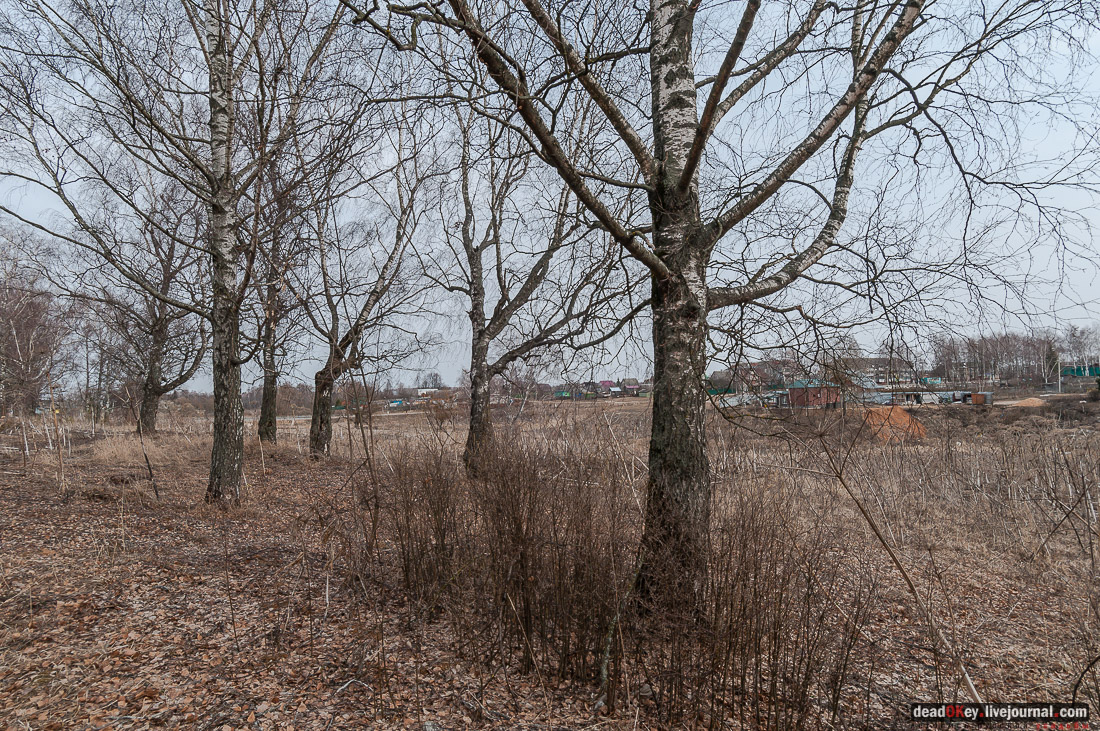 Усадьба Белая Колпь