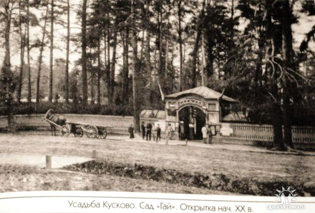 Вокруг Кусково