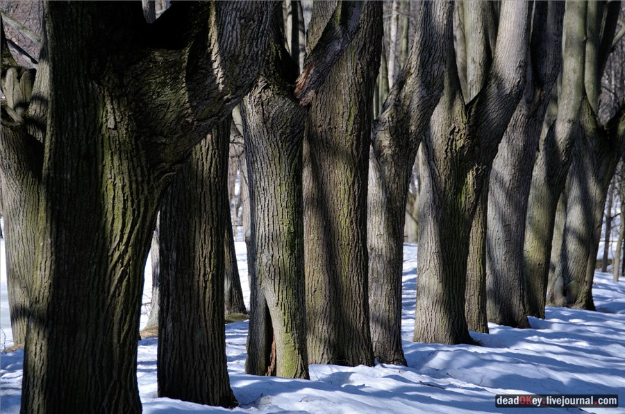 усадьба Узкое