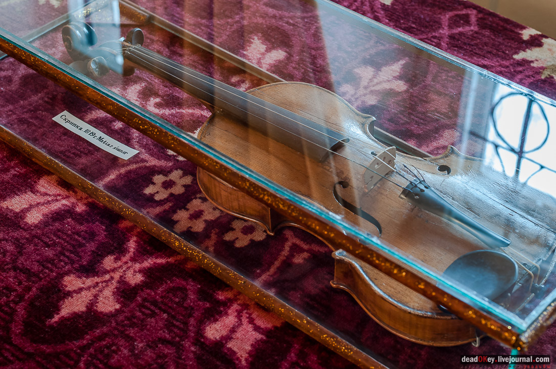 Усадьба Голицыных, г. Мичуринк