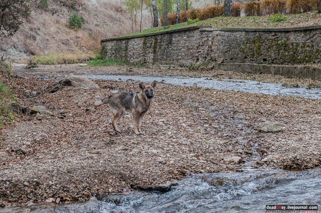 Кисловодский курортный парк, г. Кисловодск, Нижний парк