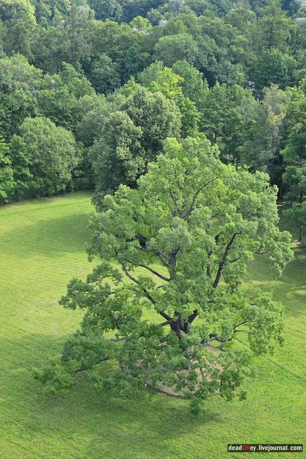 Гатчинский дворец