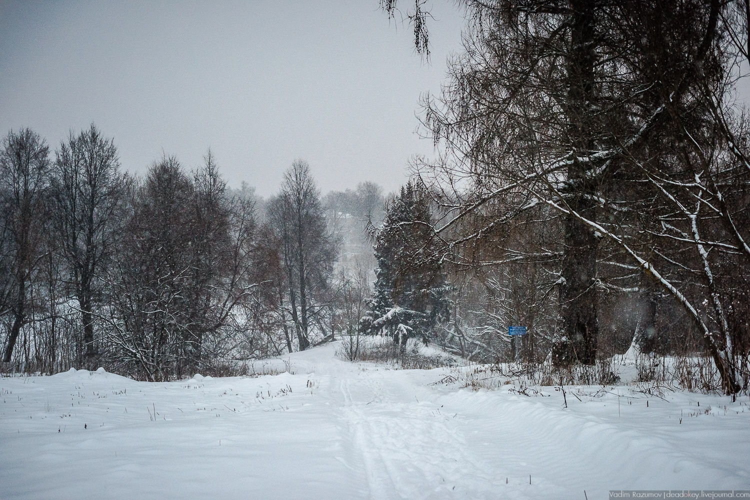 усадьба Знаменское-Садки