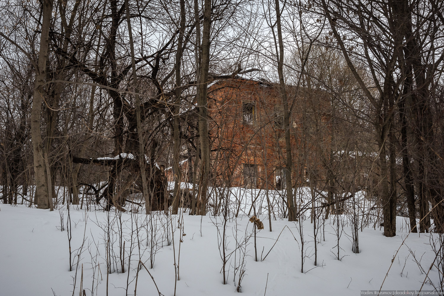 Богородицк, заброшенное здание бани
