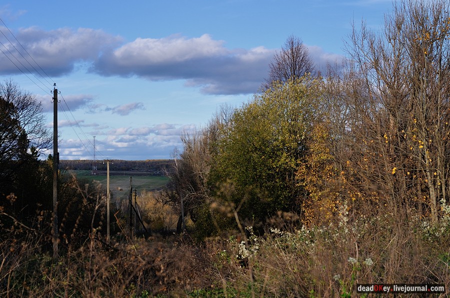 усадьба Дубровка (Мансурово)