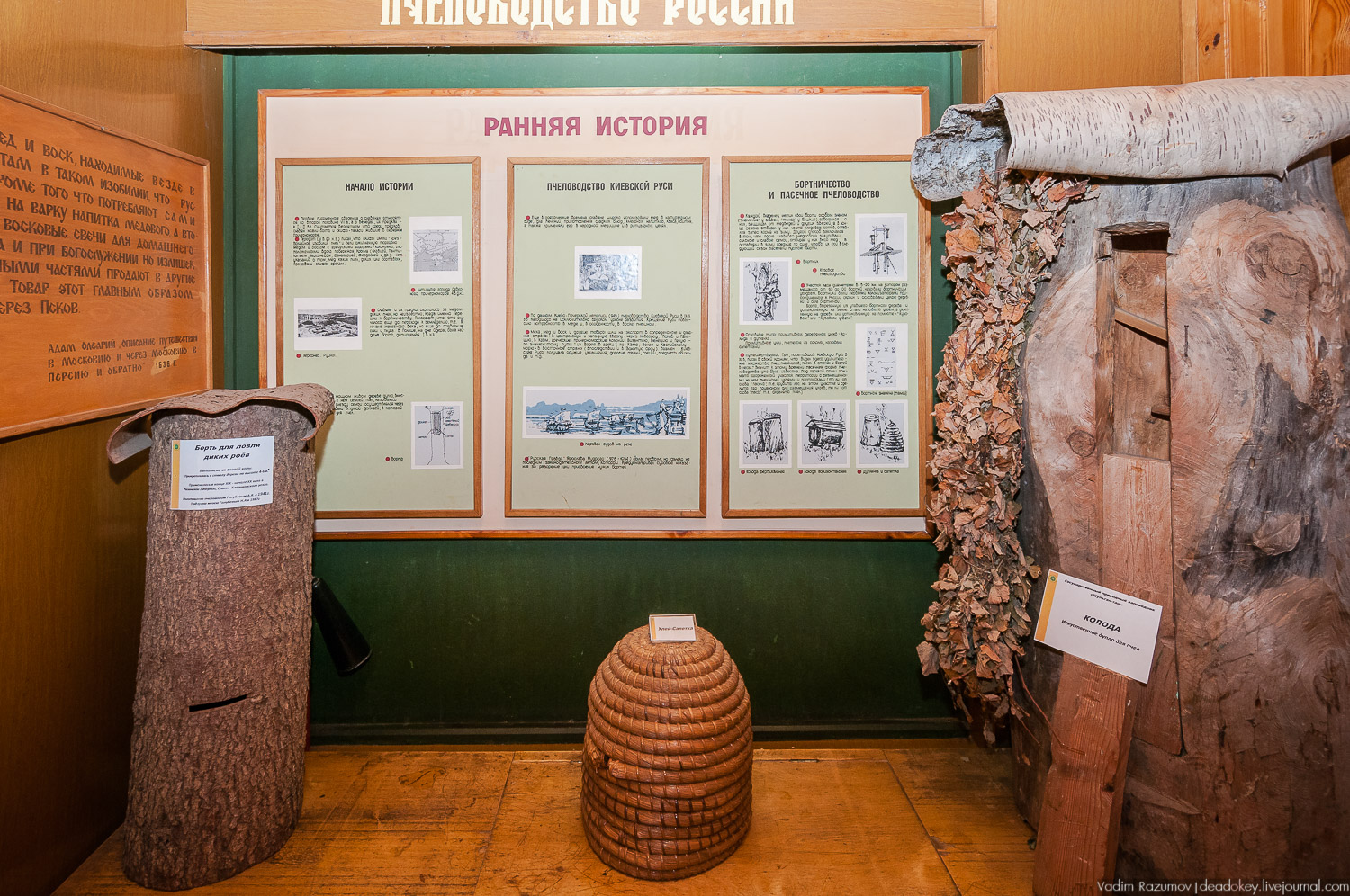 НИИ Пчеловодства, Рязанская область, Рыбное