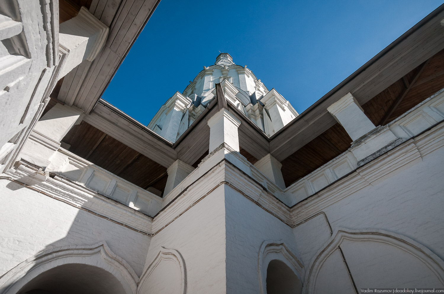 Коломенское в мае, цветы