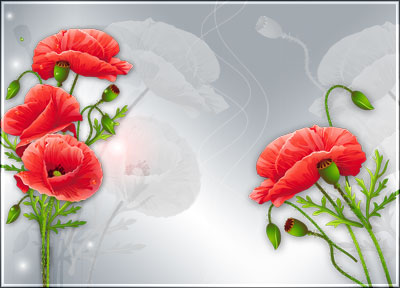 red-poppis (400x288, 30Kb)