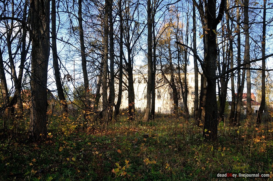 усадьба Дубровка (Мансурово)