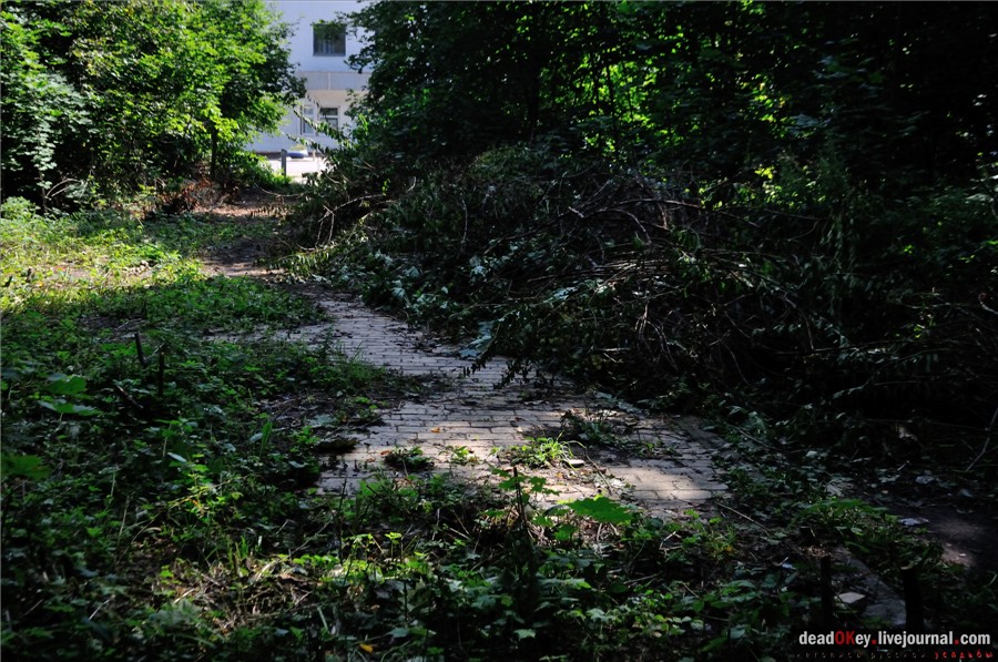 усадьба Лукино-Варино