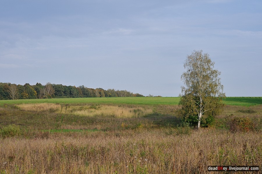 усадьба Ясная Поляна