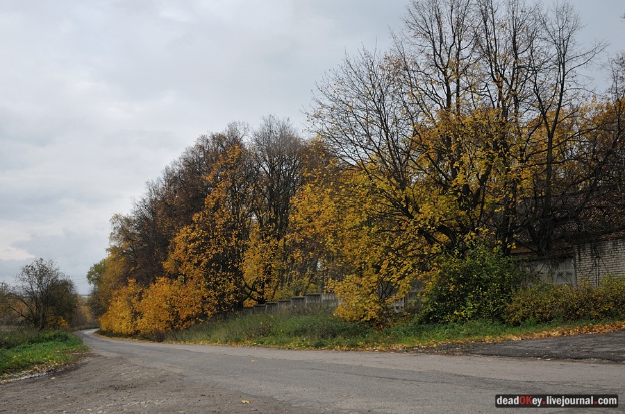 усадьба Жуково
