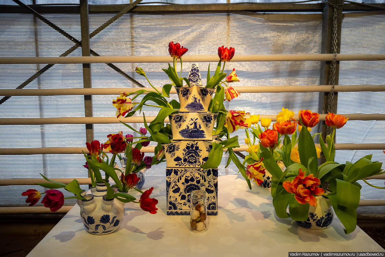 Аптекарский огород, Репетиция весны 2021, цветы, 8 Марта