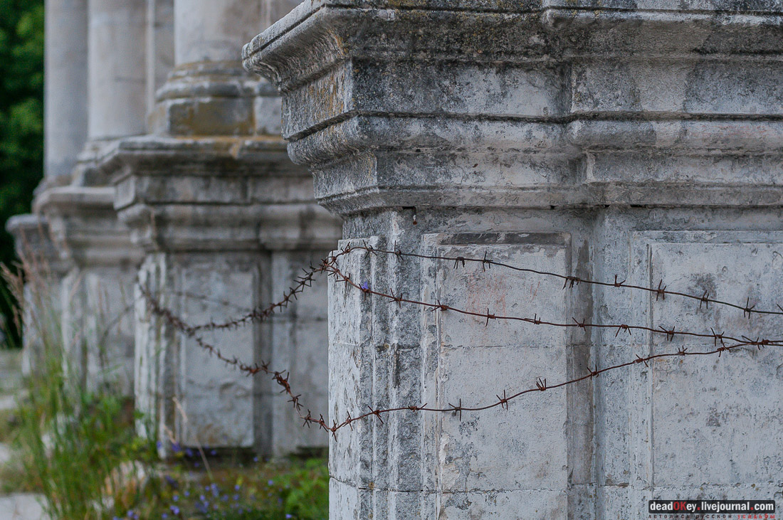 усадьба Быково, пресс-релиз встречи волонтеров