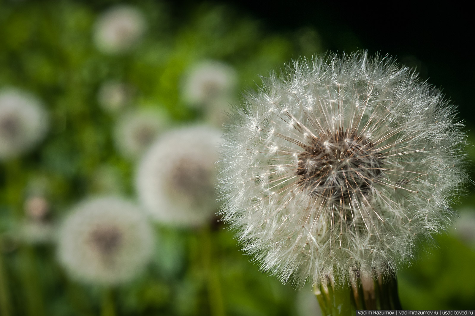 усадьба Дворяниново, Андрей Тимофеевич Болотов, Тульская область