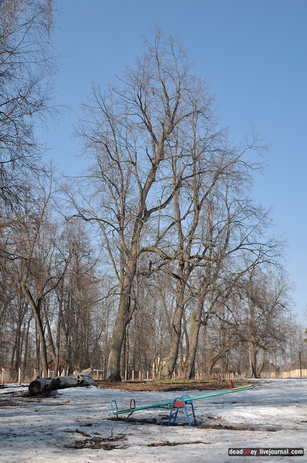 усадьба Уборы