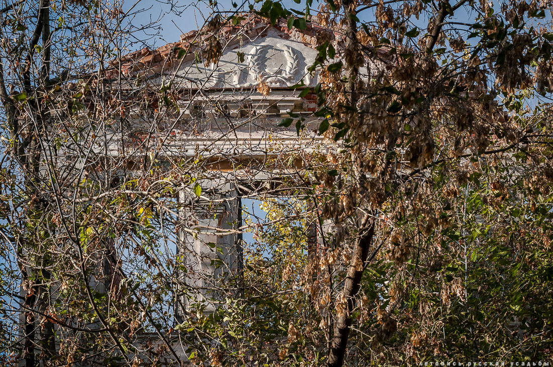 Усадебный экспресс в Константиново