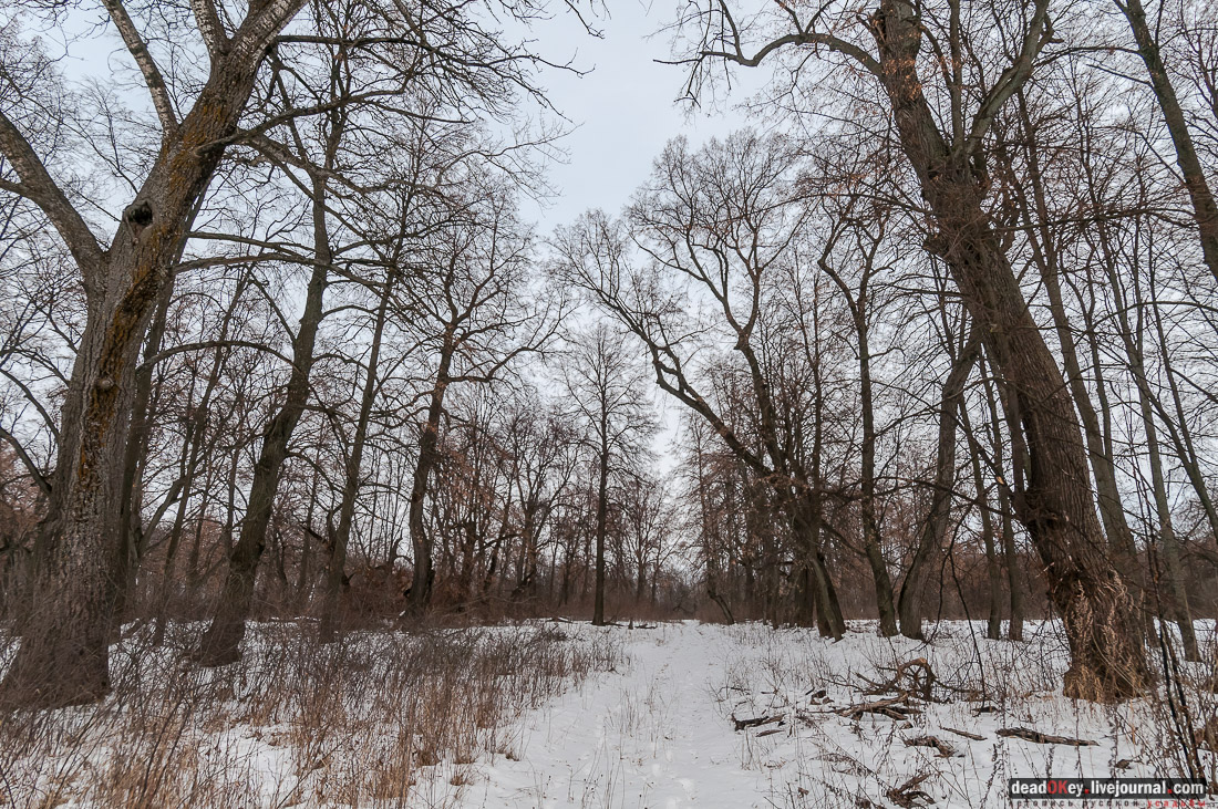 усадьба Репец