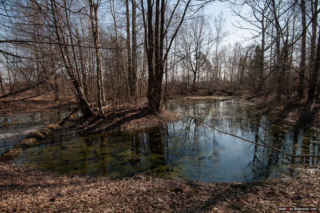 усадьба Савинское (исследование масонского парка)
