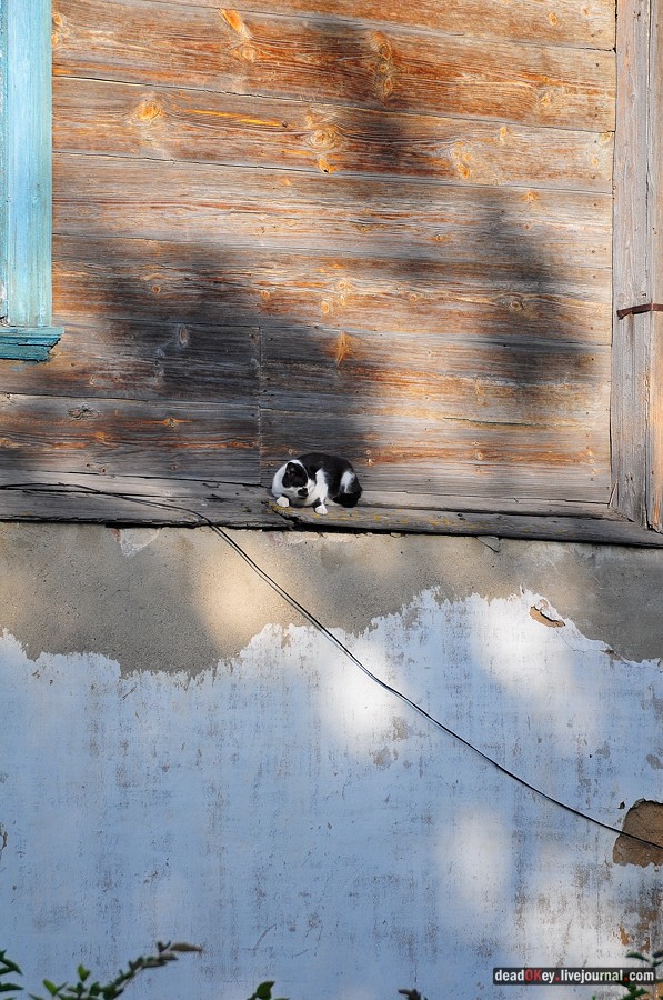 усадьба Смоленское