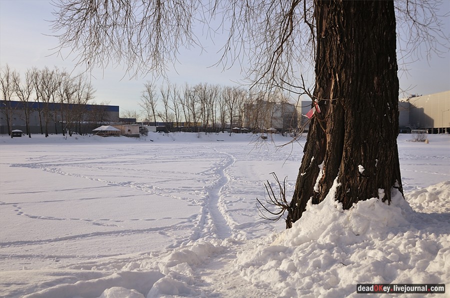 усадьба Белая Дача