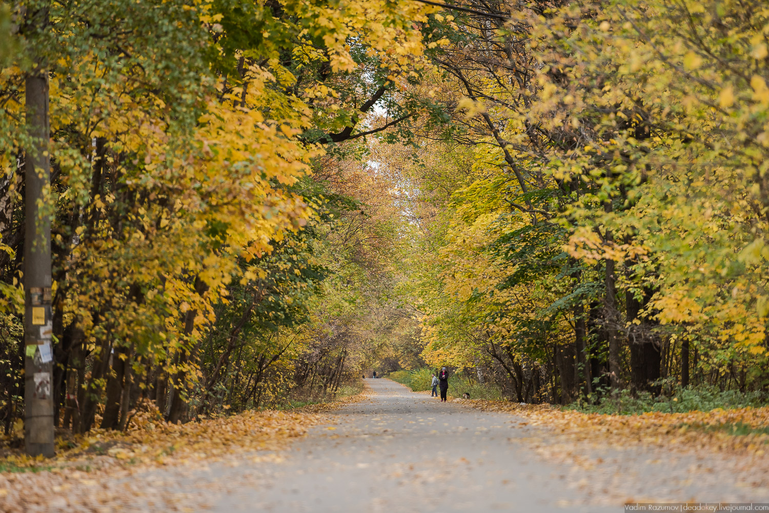 усадьба Кусково, осень 2018 года