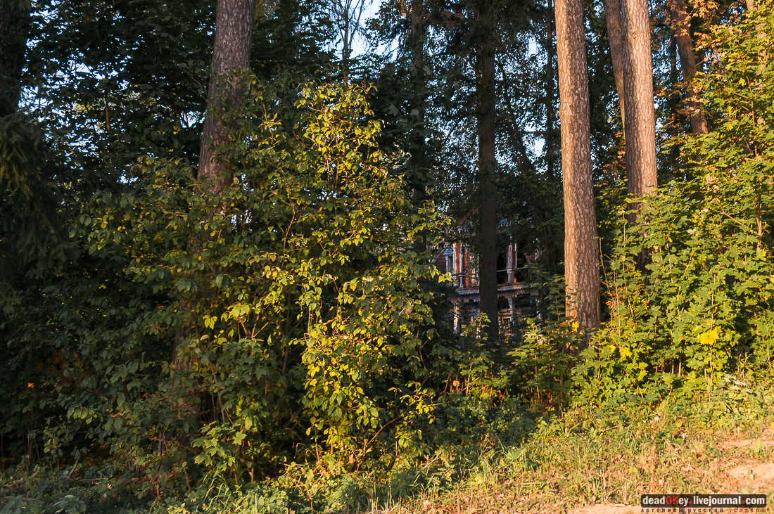 усадьба Бергов