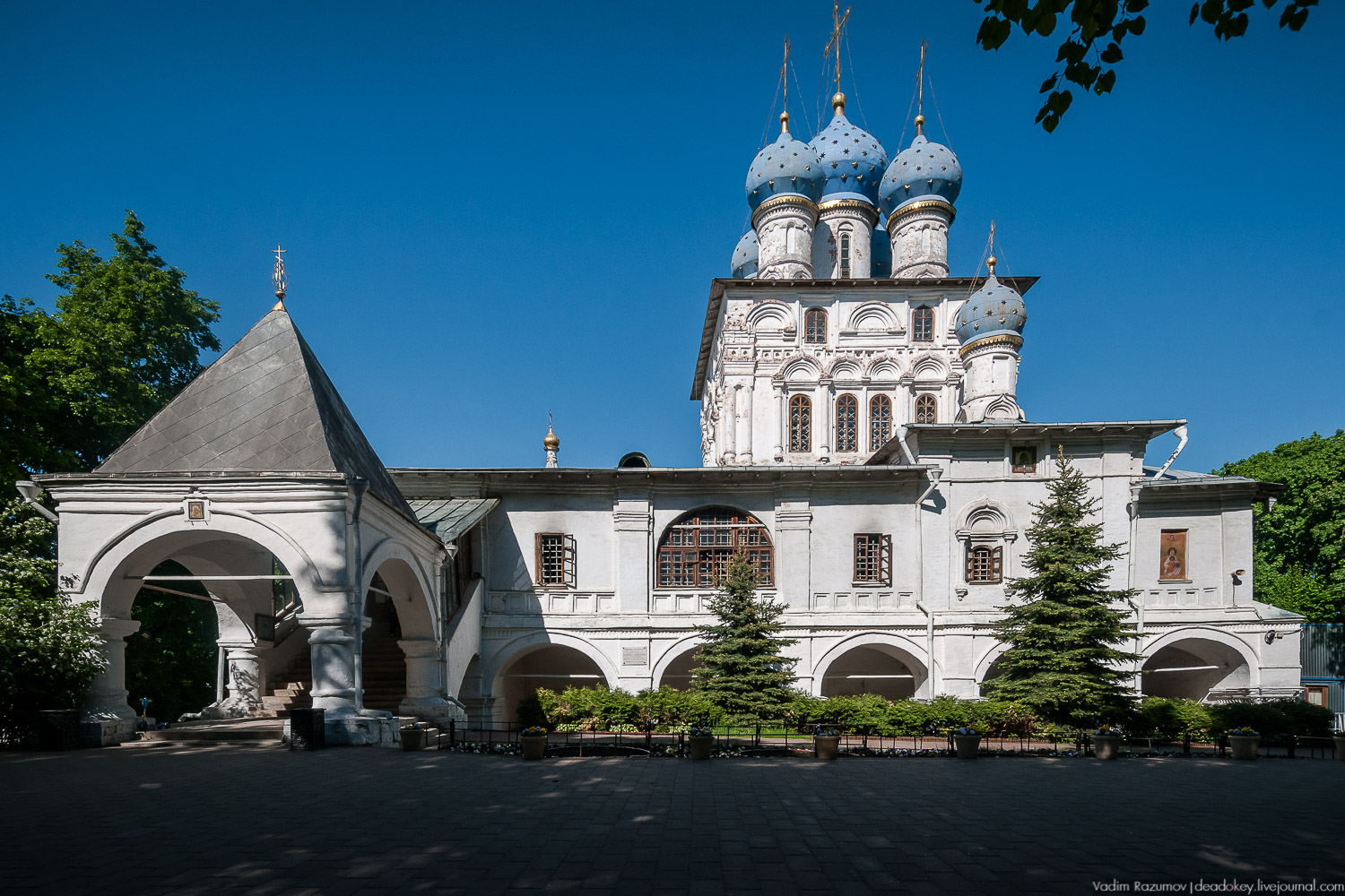 Коломенское в мае, цветы