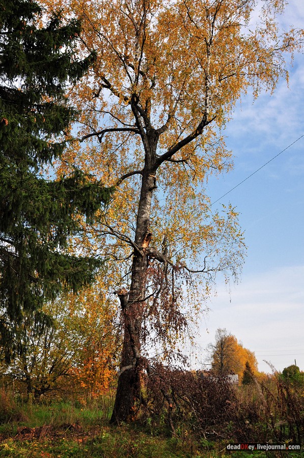 усадьба Яковлево